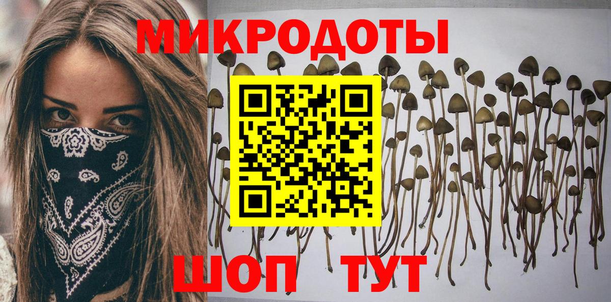 Галлюциногенные грибы прущие грибы Жигулёвск