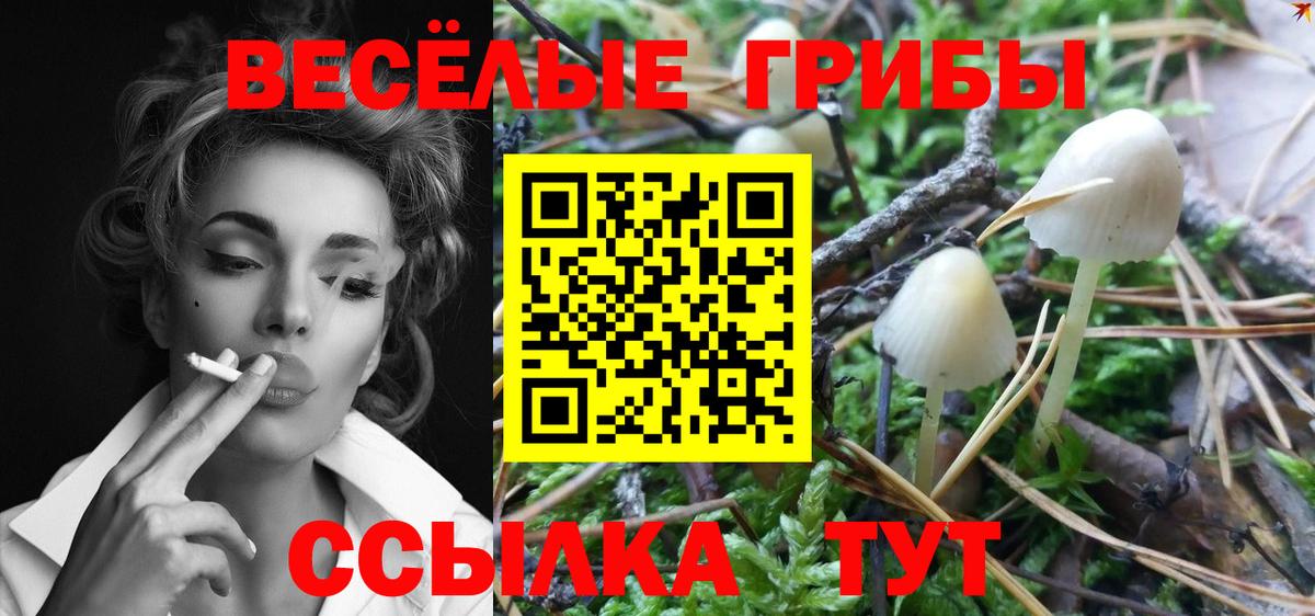 Псилоцибиновые грибы MAGIC MUSHROOMS  где купить   Псилоцибиновые грибы прущие грибы  Жигулёвск  Вход с VPN 