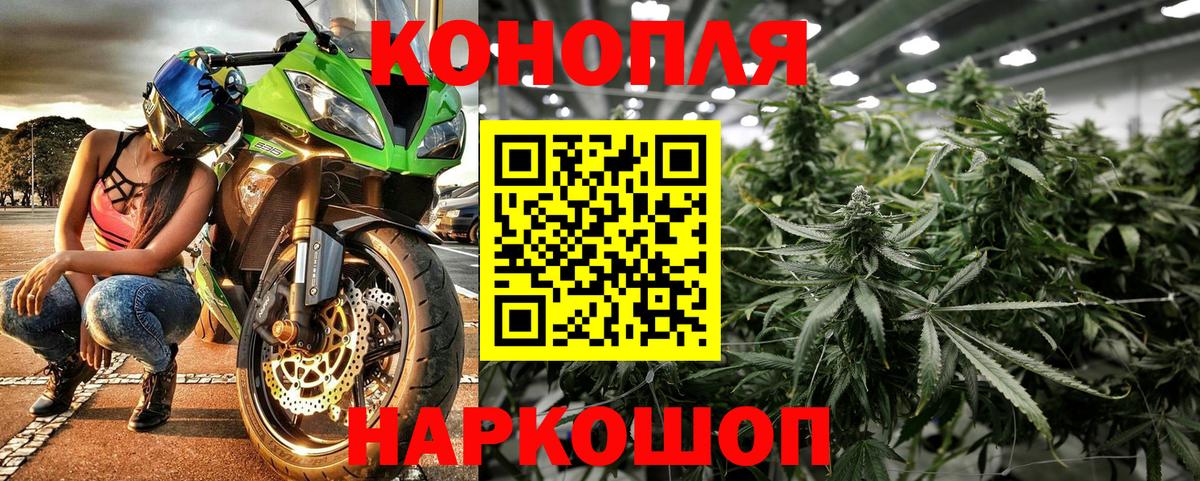 Каннабис планчик Жигулёвск